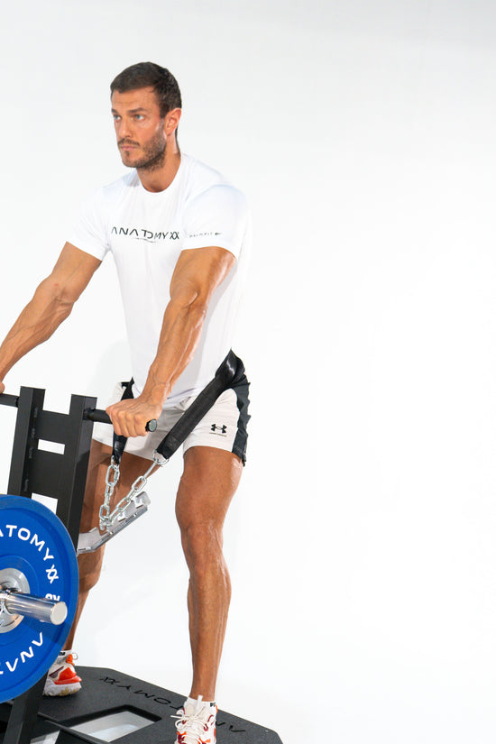 TORGYN BELT SQUAT