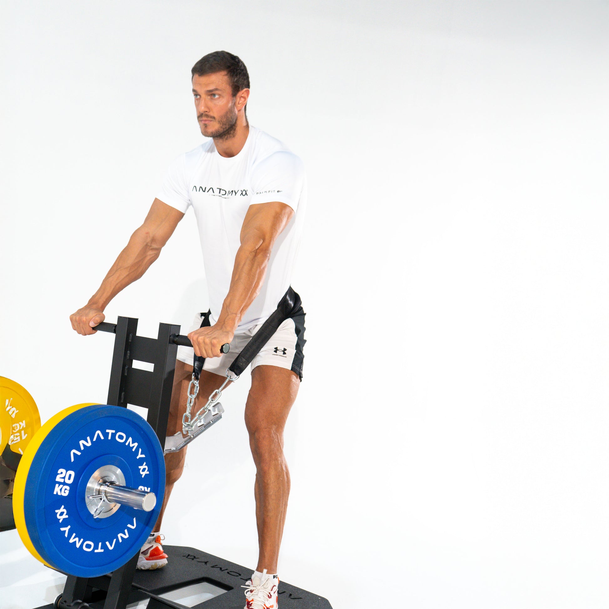 TORGYN BELT SQUAT