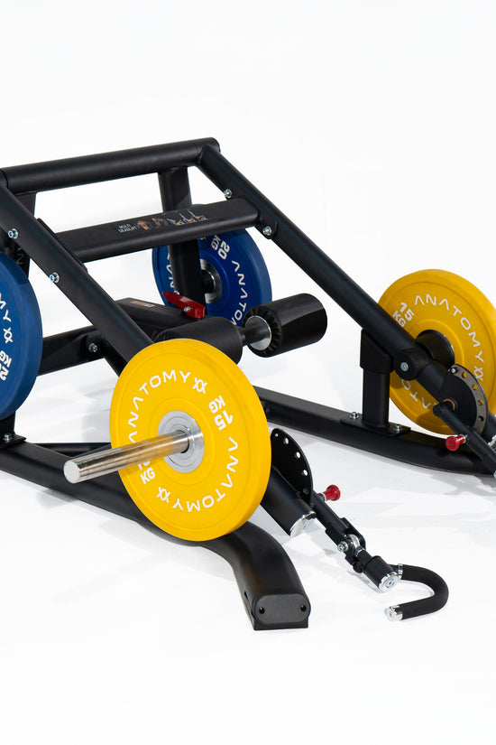 TORGYN MULTI DEADLIFT