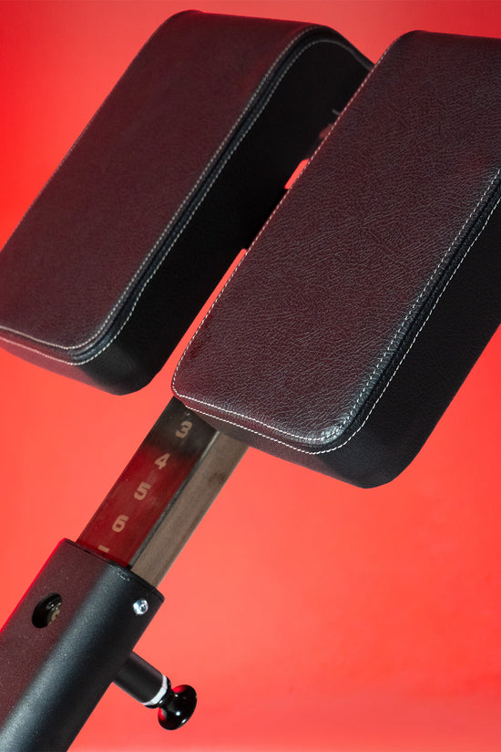 Multi-Adjustable Back Extension