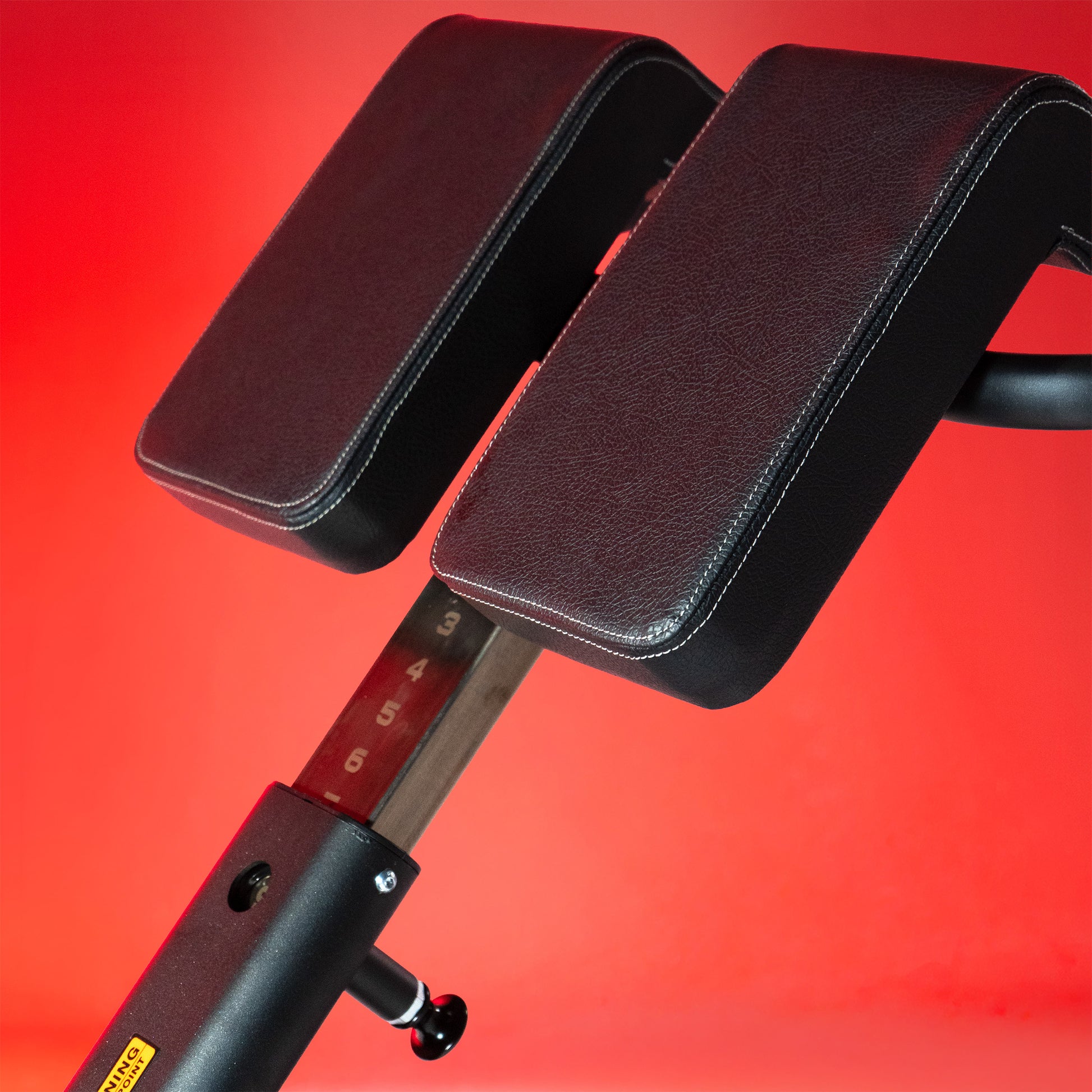 Multi-Adjustable Back Extension