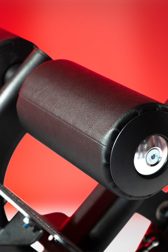 Multi-Adjustable Back Extension