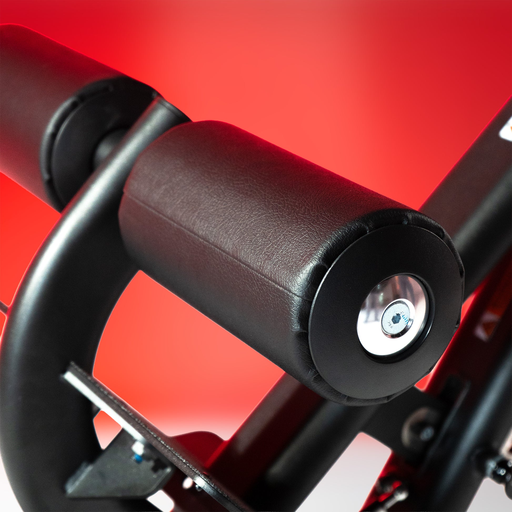 Multi-Adjustable Back Extension