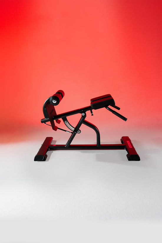 Multi-Adjustable Back Extension