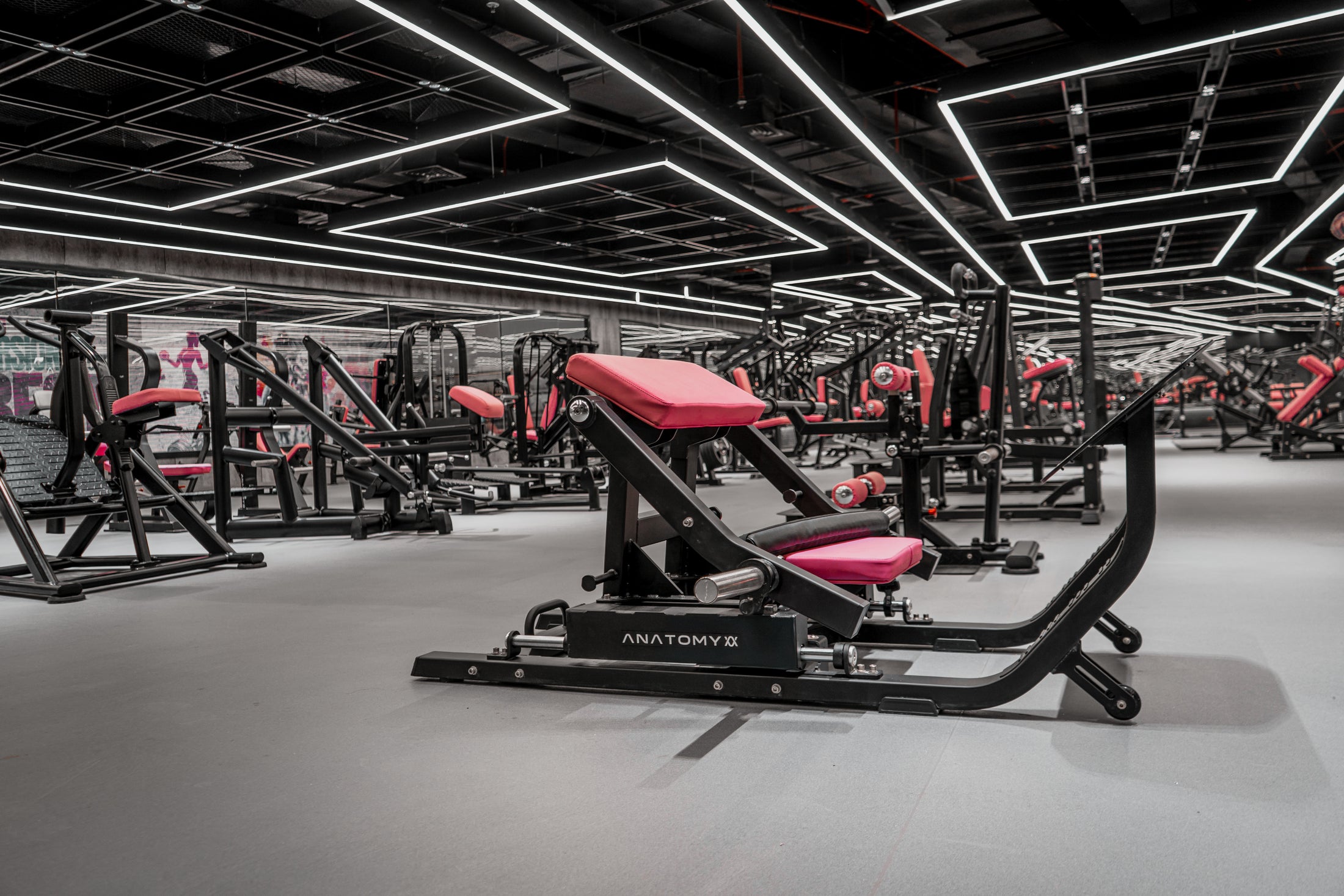 Ready to Build a Gym Your Members Will Remember?