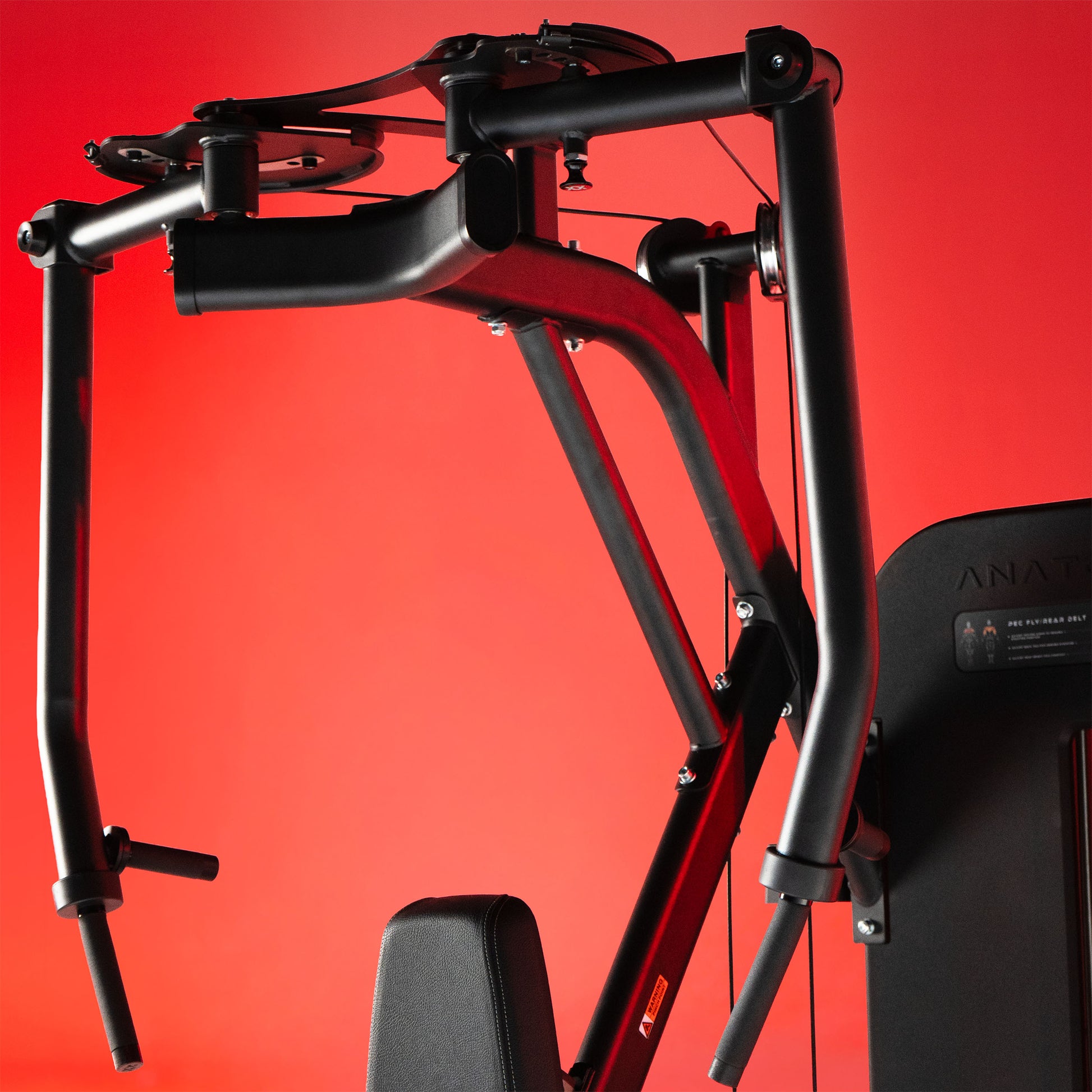 FLEXORA PEC FLY/REAR DELT
