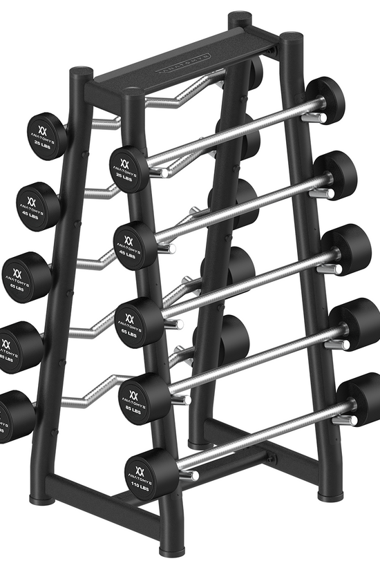 Fixed Curl & Straight Barbell Set with Rack