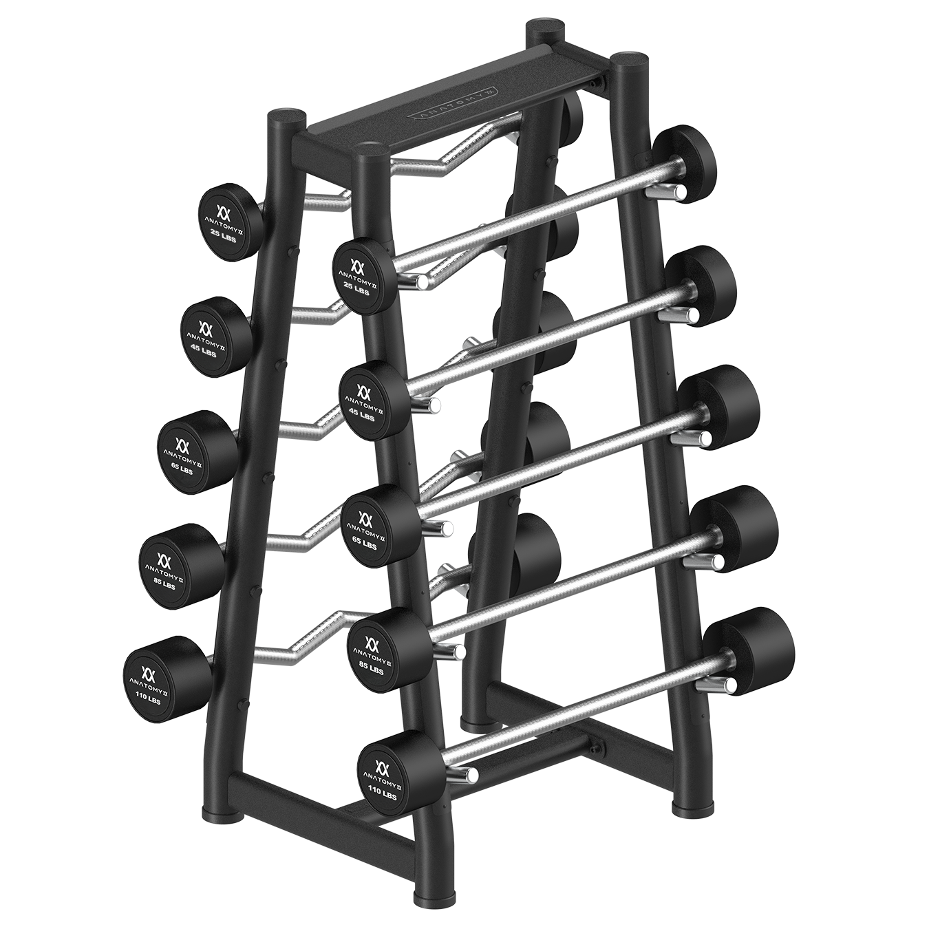 Fixed Curl & Straight Barbell Set with Rack