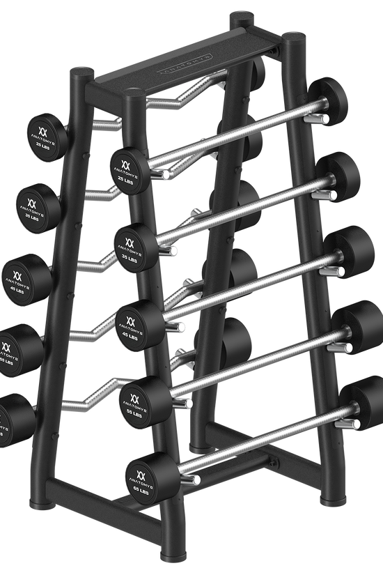 Fixed Curl & Straight Barbell Set with Rack