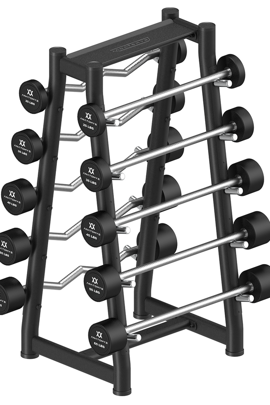Fixed Curl & Straight Barbell Set with Rack