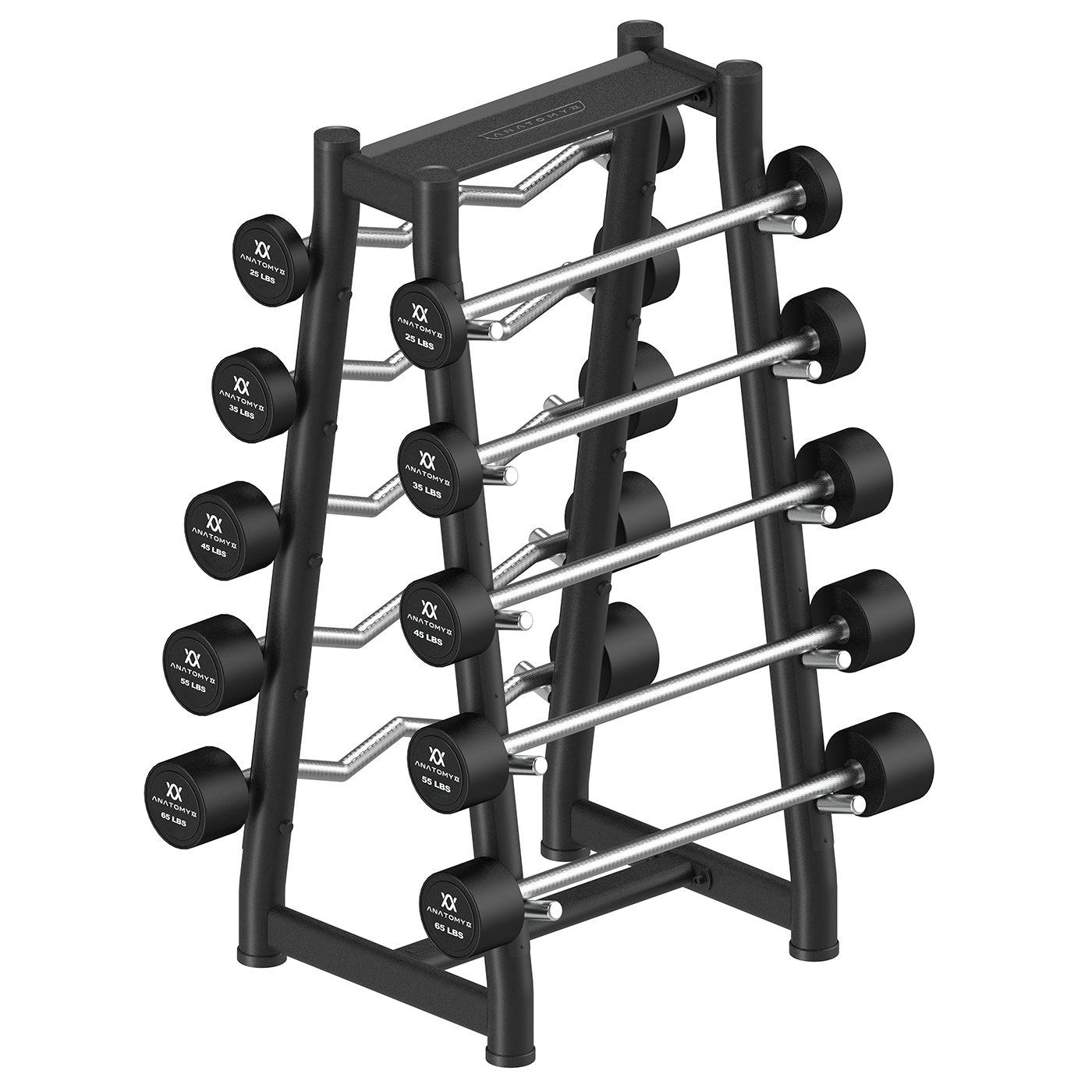 Fixed Curl & Straight Barbell Set with Rack