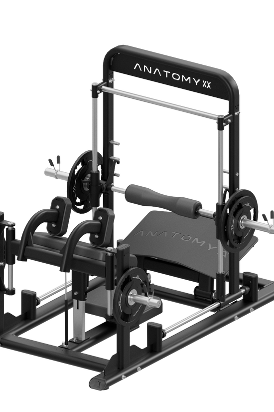 TORGYN HIP THRUSTER - V2