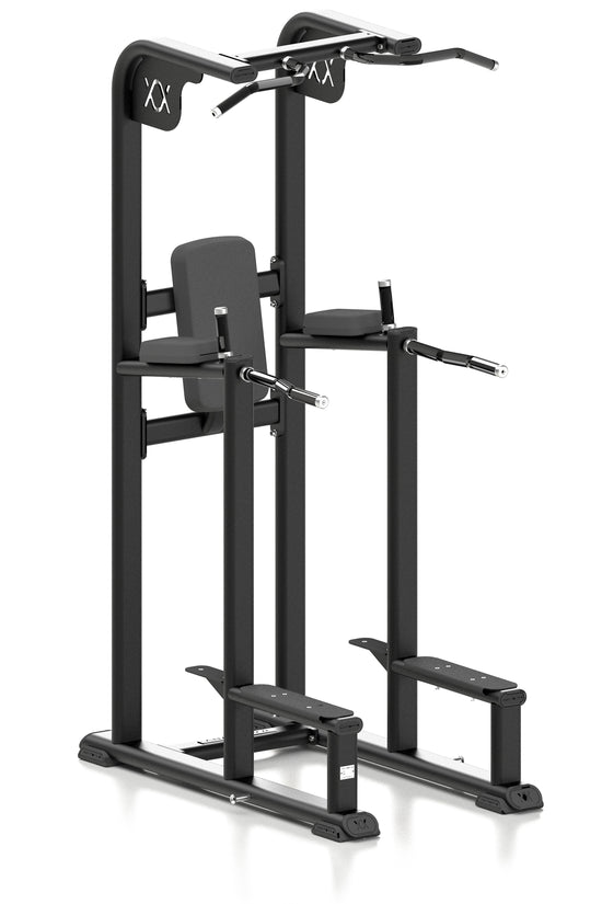 Power Tower/ Chin / Dip