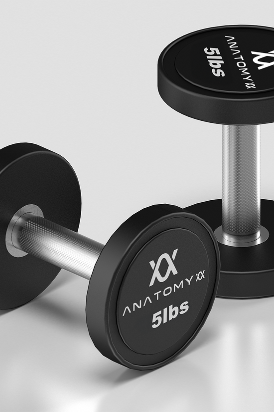 Anatomy Pro style Round Dumbbell Pair