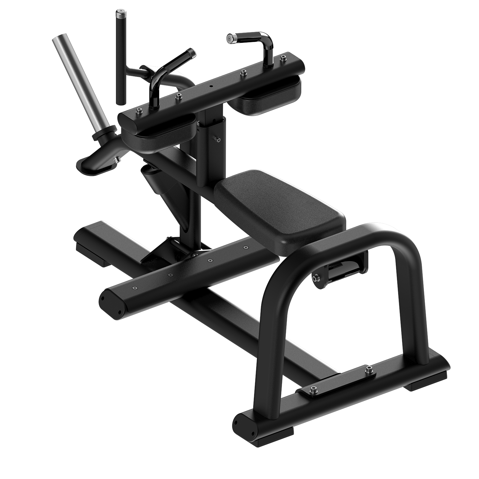 TORGYN SEATED CALF RAISE