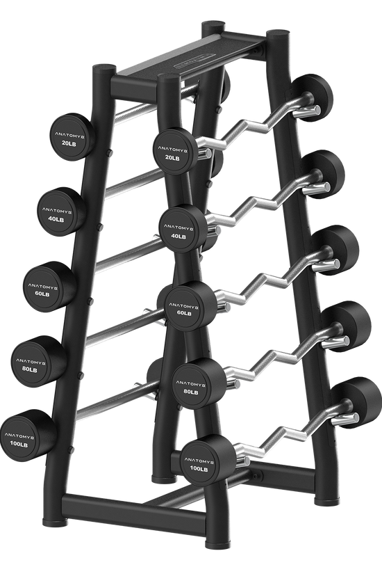 Fixed Curl & Straight Barbell Set with Rack