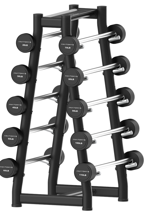 Fixed Straight Barbell Set with Rack 20LB - 110LB