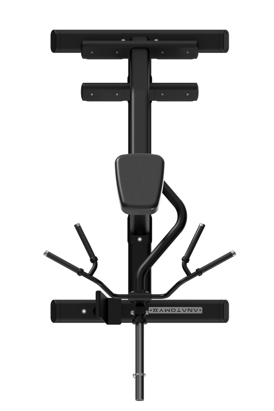 TORGYN T-BAR ROW