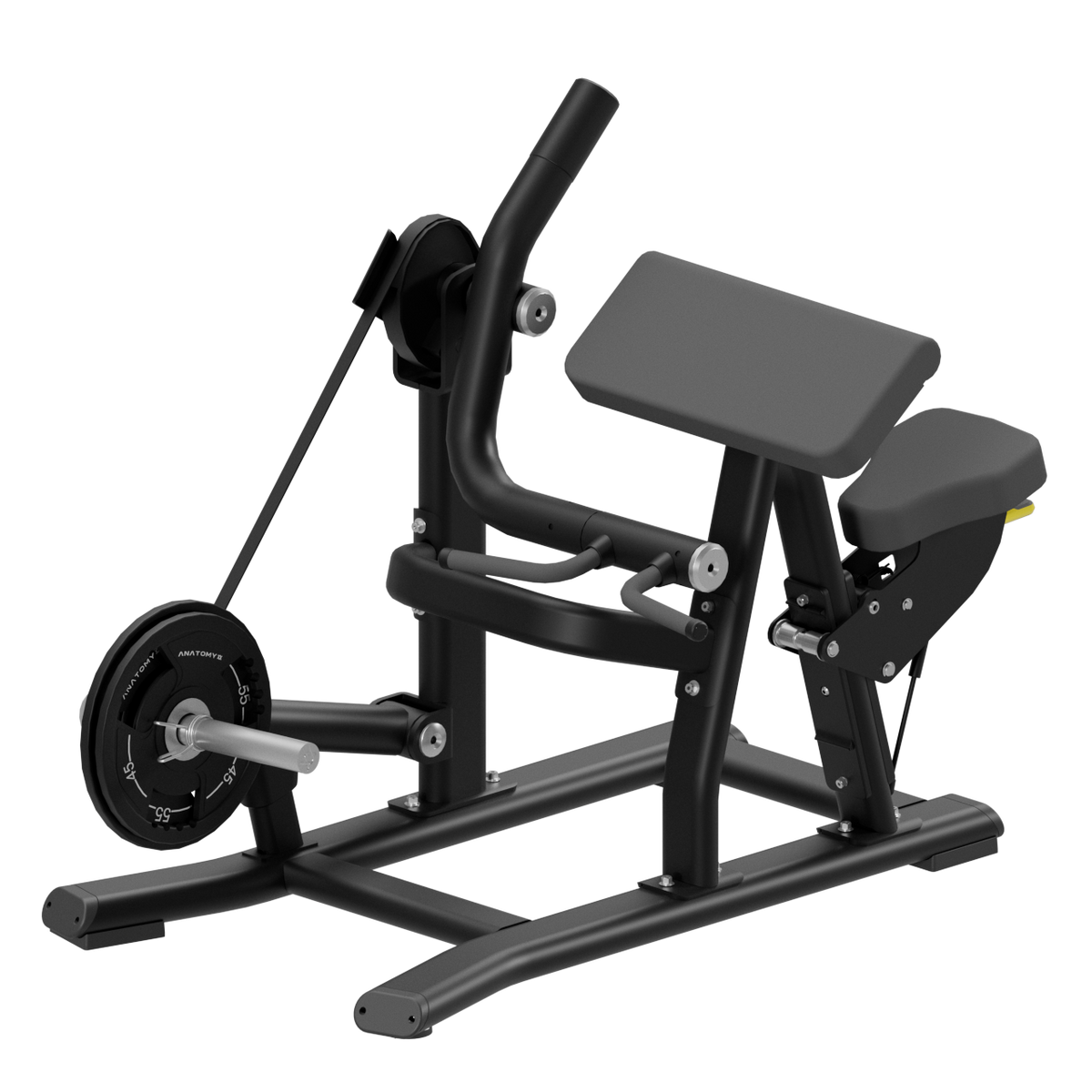 TORGYN BICEPS CURL
