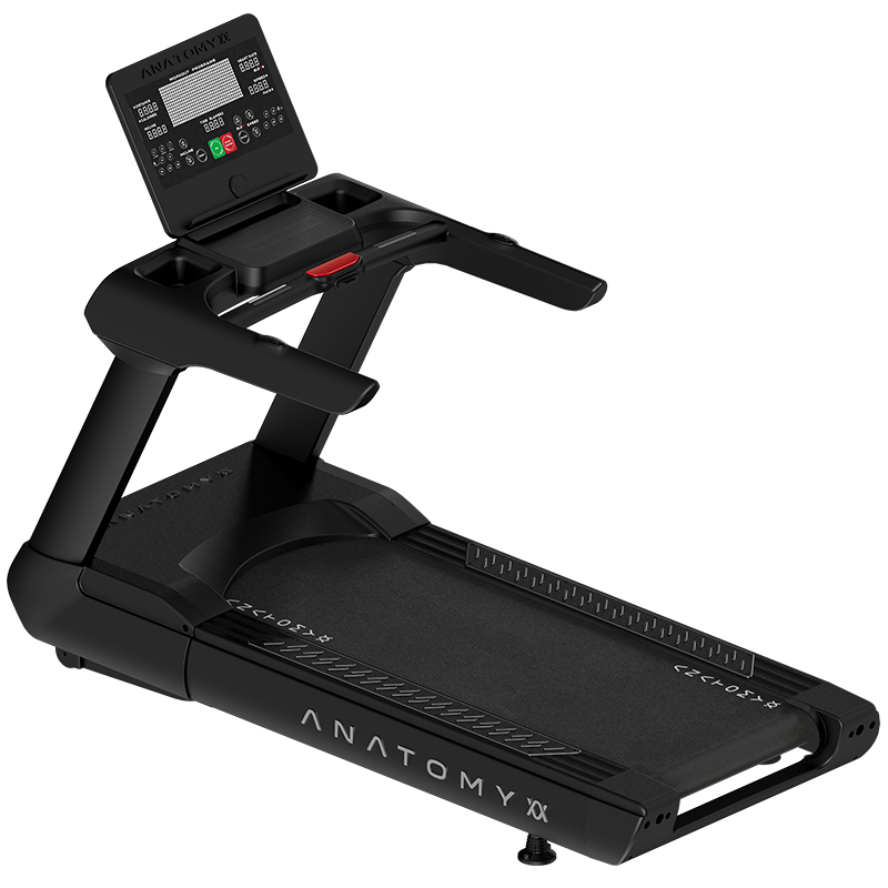Anatomy Treadmill - LED monitor