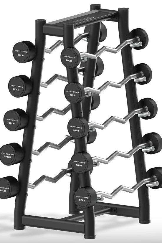 Fixed Curl Barbell Set with Rack 20LB - 110LB