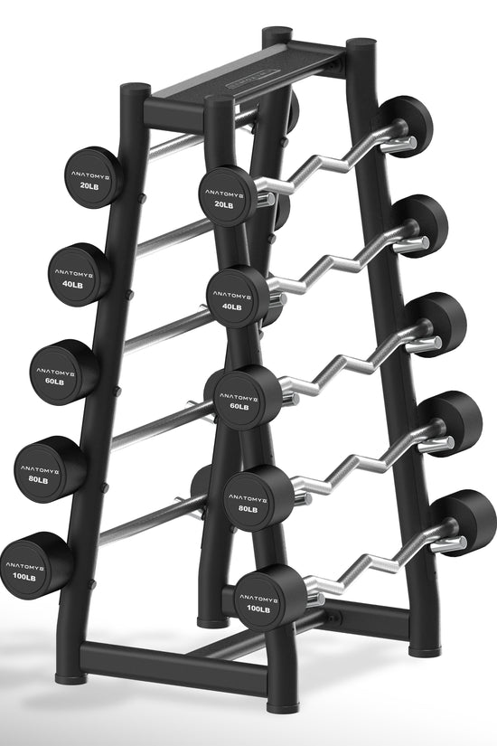 Fixed Curl & Straight Barbell Set with Rack