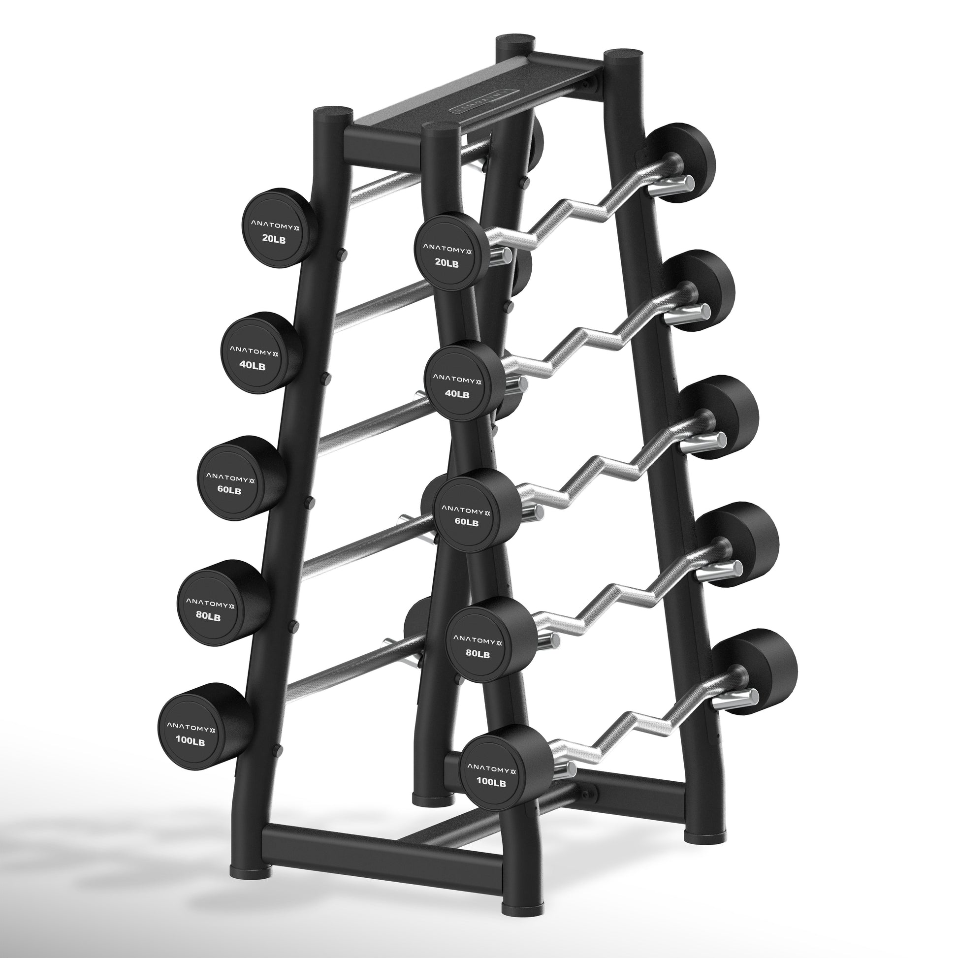 Fixed Curl & Straight Barbell Set with Rack