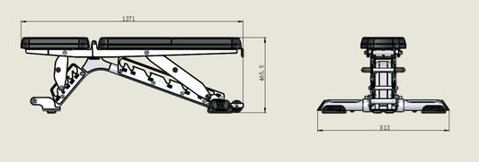 Anatomy Adjustable Bench