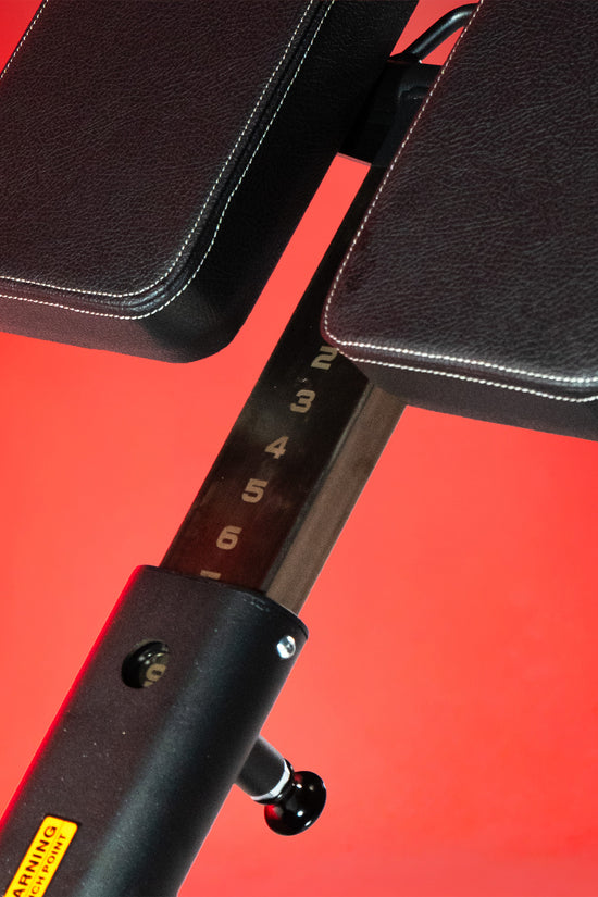 Multi-Adjustable Back Extension