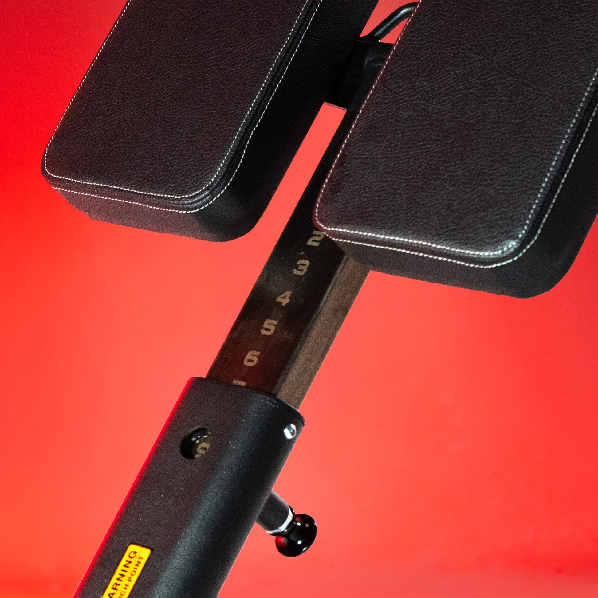Multi-Adjustable Back Extension
