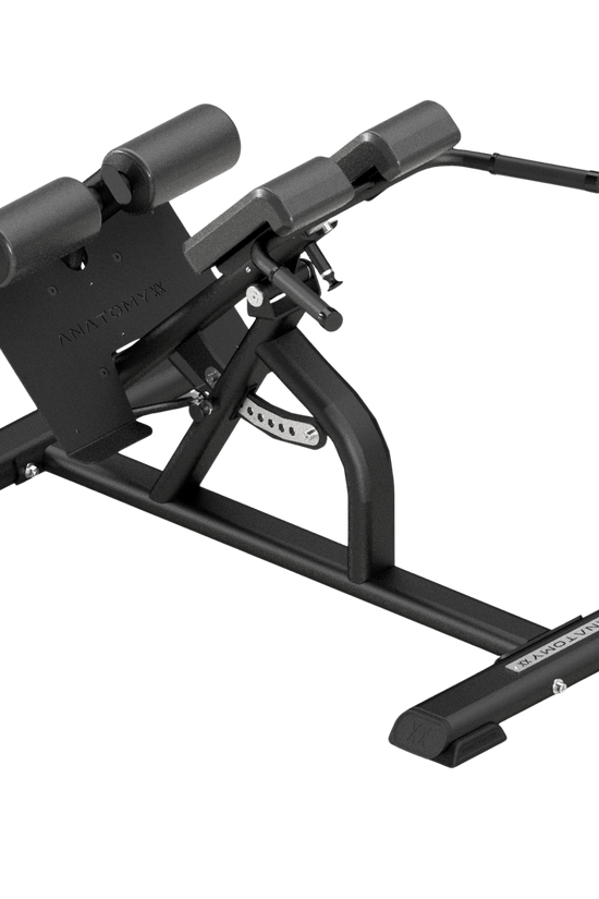 Multi-Adjustable Back Extension