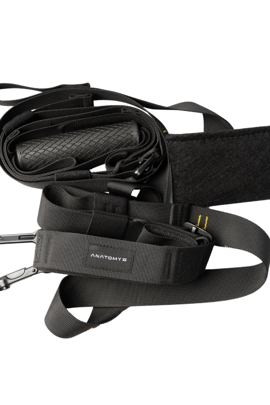 Anatomy Suspension trainer