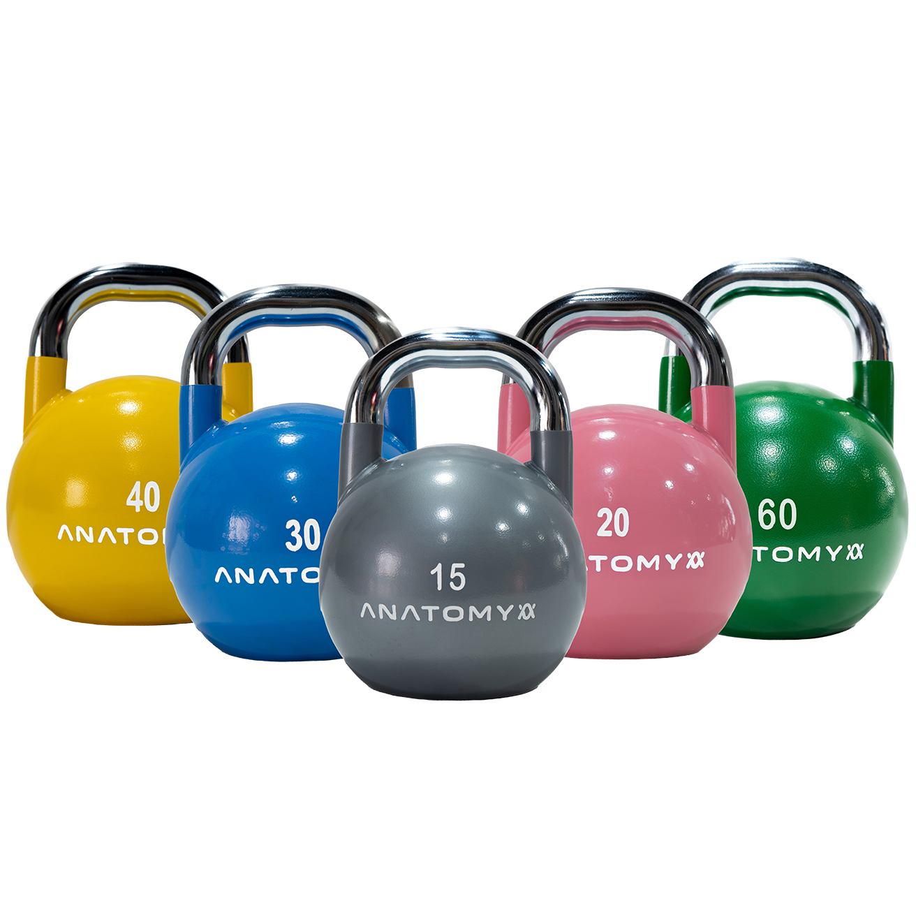 Anatomy Competition Kettlebell