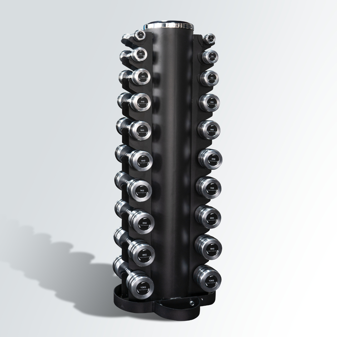 Anatomy vertical dumbbell rack