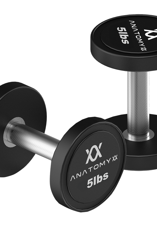 Anatomy Pro style Round Dumbbell Pair